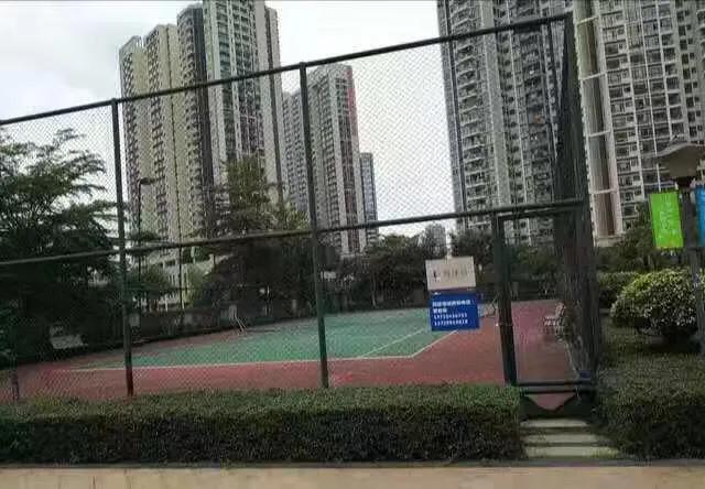 深圳最靓的村委统建楼，自带游泳池，篮球场 房产资讯 第7张