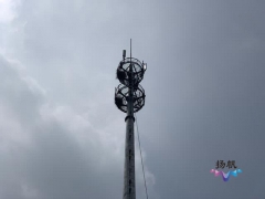 避雷针“变身”5G通信基站 共享共建为“新基建”提速