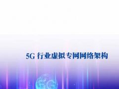 5G行业虚拟专网网络架构：5G虚拟专网共规划5G站点18个（可下载）