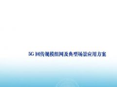 5G回传规模组网及典型场景应用方案：中国电信计划设基站数量4万个（可下载）